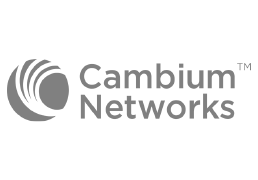 ap cambium